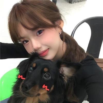 今天也很可爱的狗